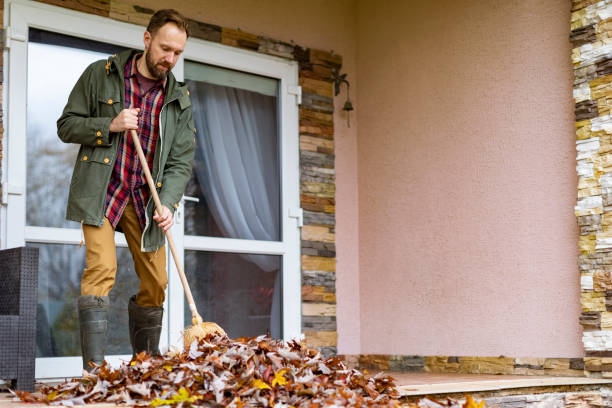Yard Cleanup Services in Eddystone, PA